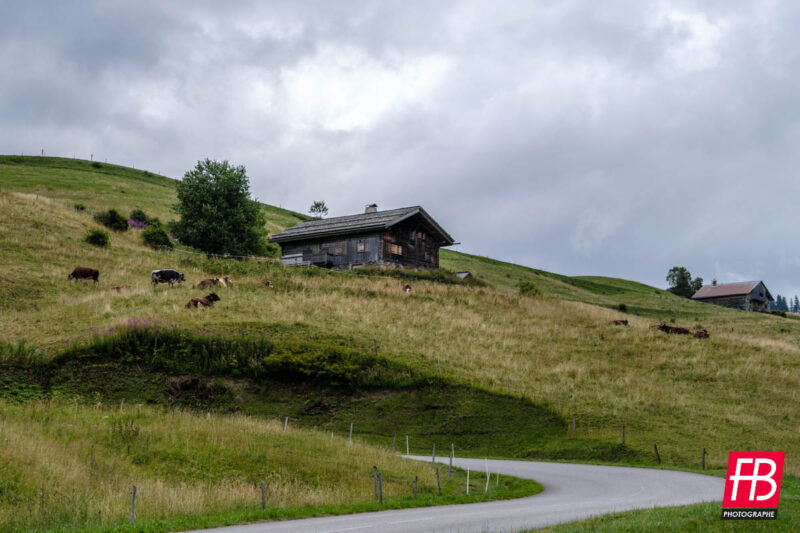 Paysage @ Les Alpes