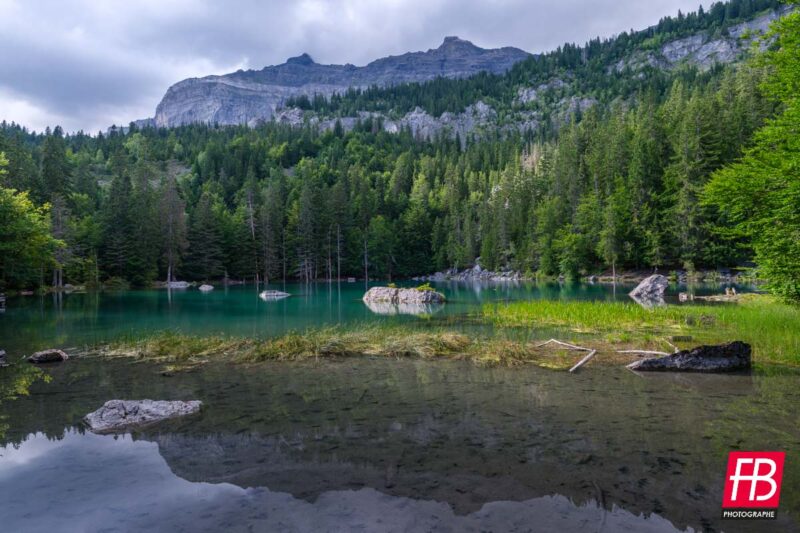 Paysage @ Les Alpes