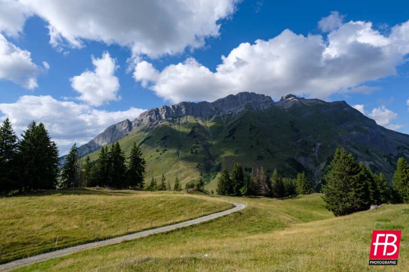 Paysage @ Les Alpes