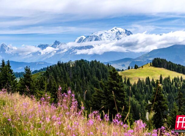 Paysage @ Les Alpes - Le Mont Blanc