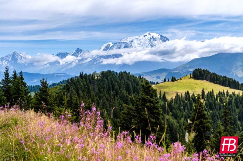 Paysage @ Les Alpes - Le Mont Blanc