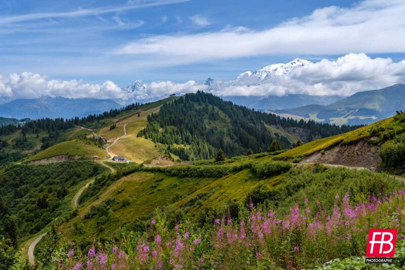Paysage @ Les Alpes - Le Mont Blanc